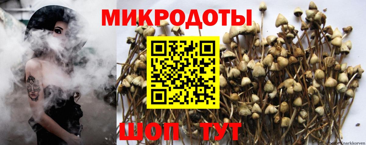 Галлюциногенные грибы GOLDEN TEACHER Серпухов